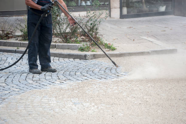 Best Sidewalk and Walkway Cleaning  in Richton, MS